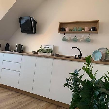 Appartement Szepty Mansardy à Stary Toruń Extérieur photo